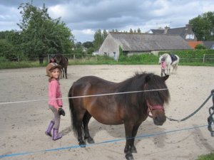 mercredi 1er août 2012 001 le poney le plus brossé de bretagne