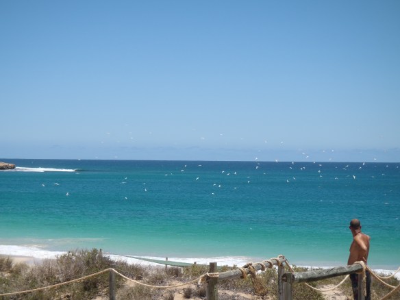 Killer view from our hamper