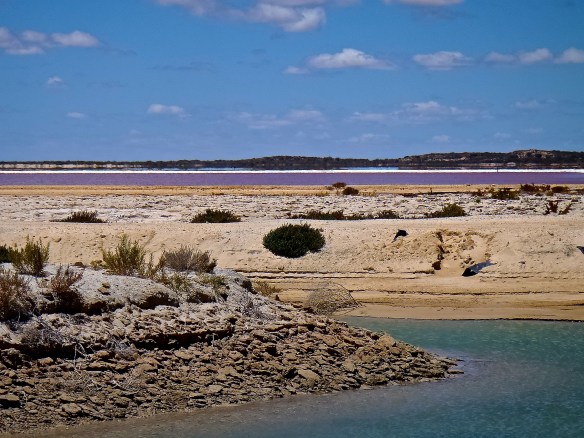 Lacs rose, blanc et bleu sur la route de Quobba Station