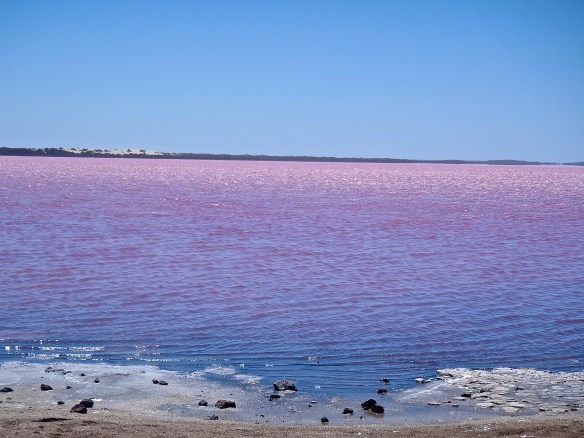 Pink lake