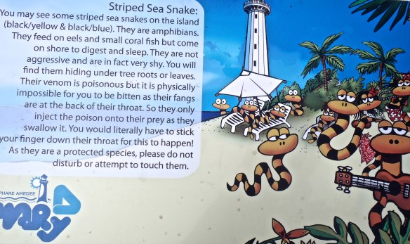 Ilot du Phare Amédée