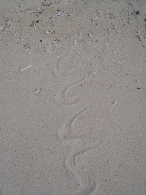 Ilot du Phare Amédée