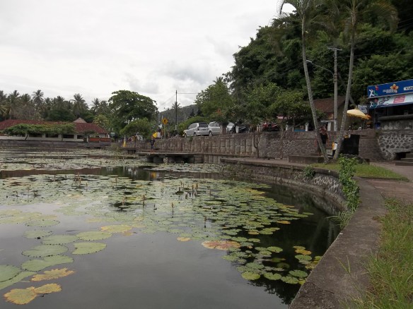 Nénuphars de Candidasa