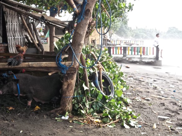 Village d'Ambutan, Lovina Beach