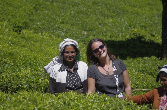 Balade dans les plantations de thé