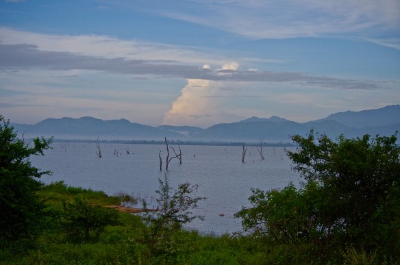 Pause près d'un lac
