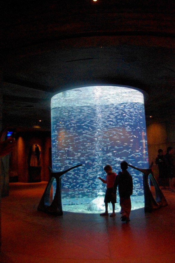 Atlantis, the lost chambers