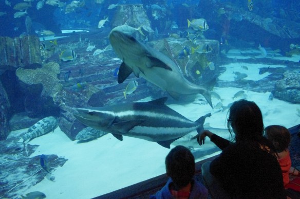 Atlantis, the lost chambers